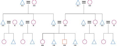 家庭圖關係線|製作親屬關係圖，完美勾勒關係